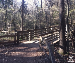 Bridge over a ravine on the nature trail