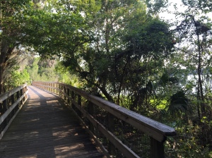 This small boardwalk leads to the picnic area at Paynes Prairie Preserve State Park. 
